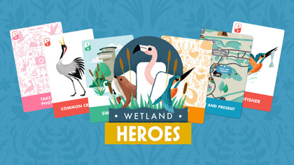 Slimbridge Wetland Heroes