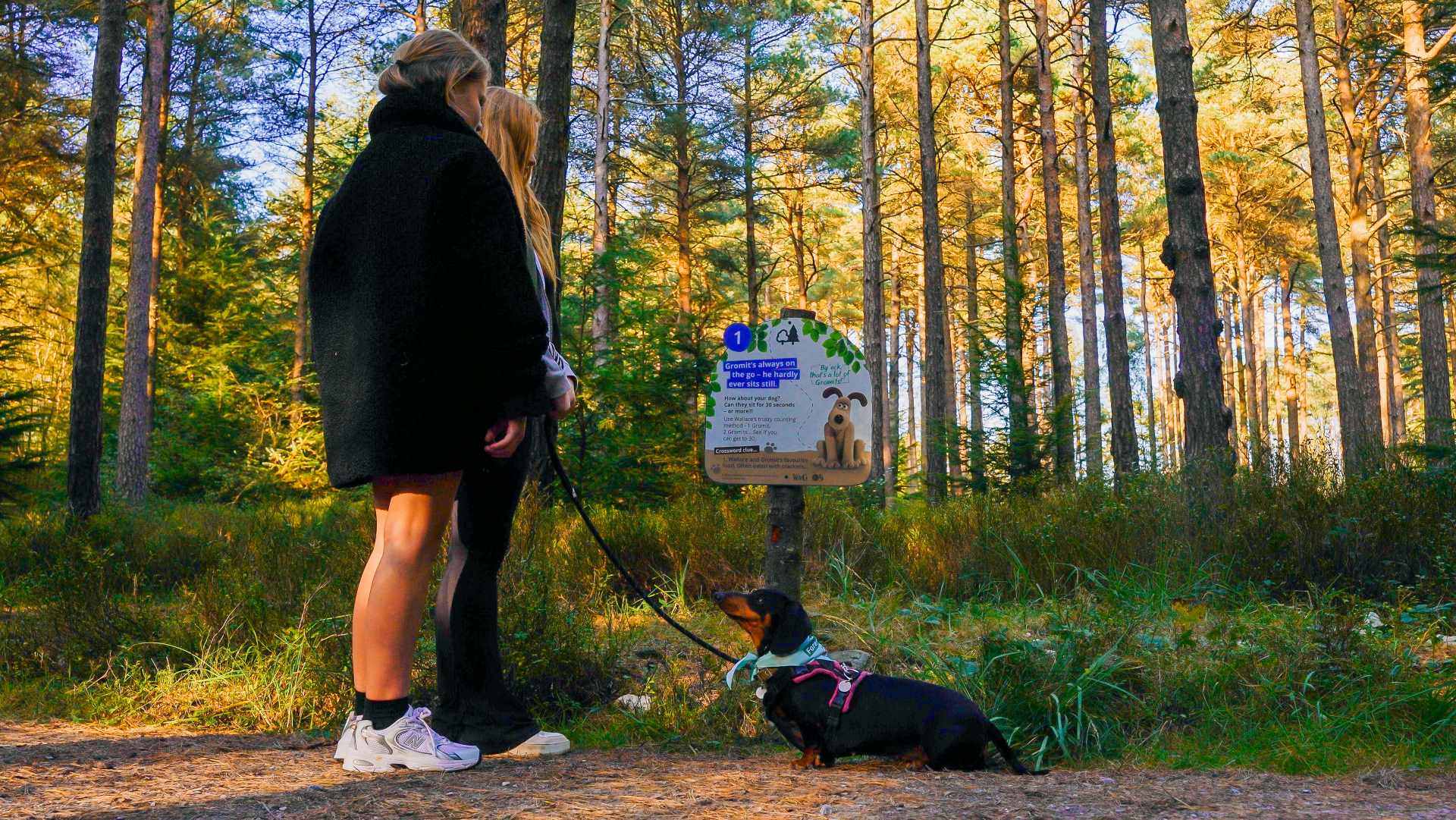 シム・シメール、【A Walk in the Woods Autumn 2】 Forest Walkies with Wallace & Gromit