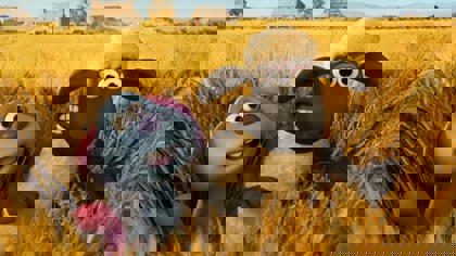Shaun the Sheep Movie: Farmageddon